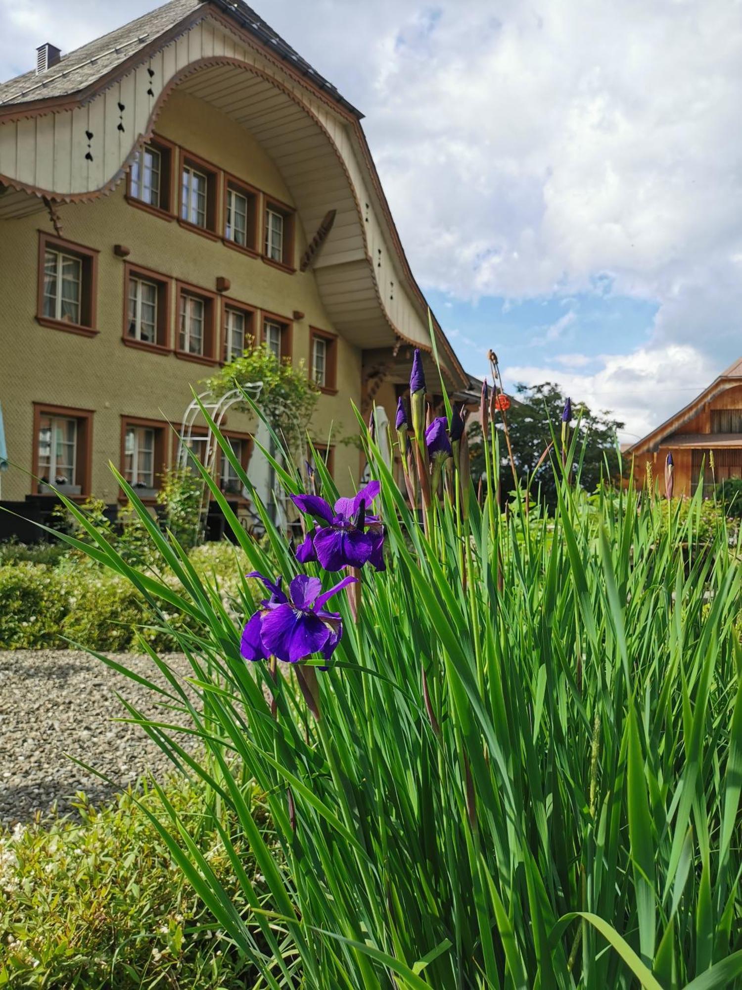 Gasthof Kreuz Marbach Exteriör bild