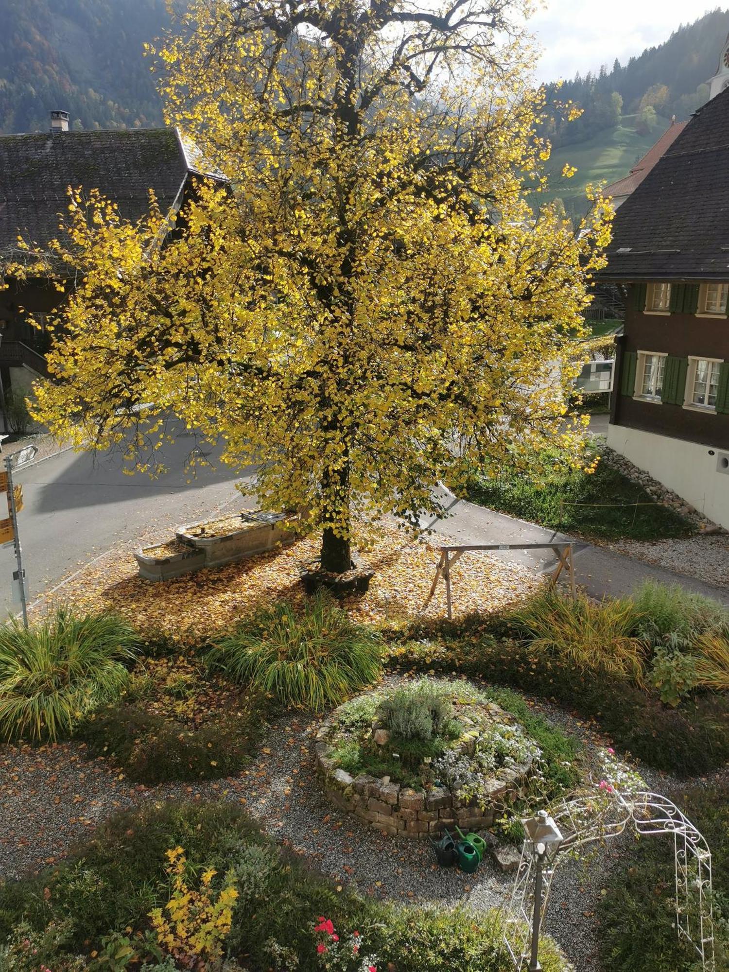 Gasthof Kreuz Marbach Exteriör bild